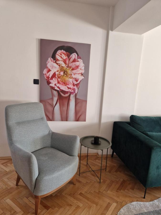 Comfy Center Apartment Скопье Экстерьер фото